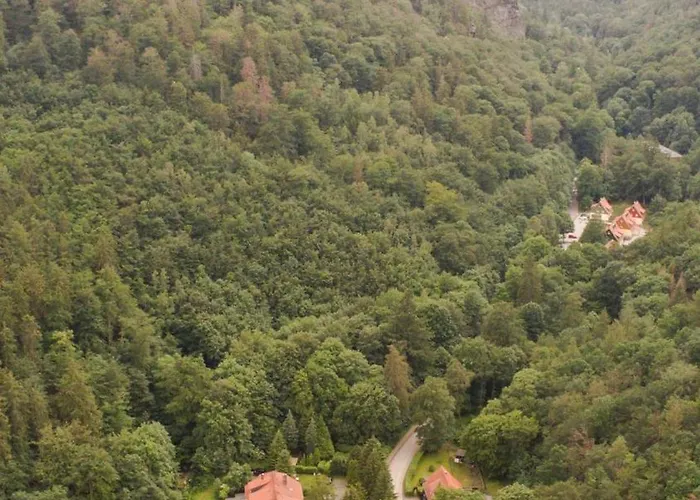 Ferienhaeuser Am Brocken, 80 Qm 3 Schlafzimmer Prázdninový dům *